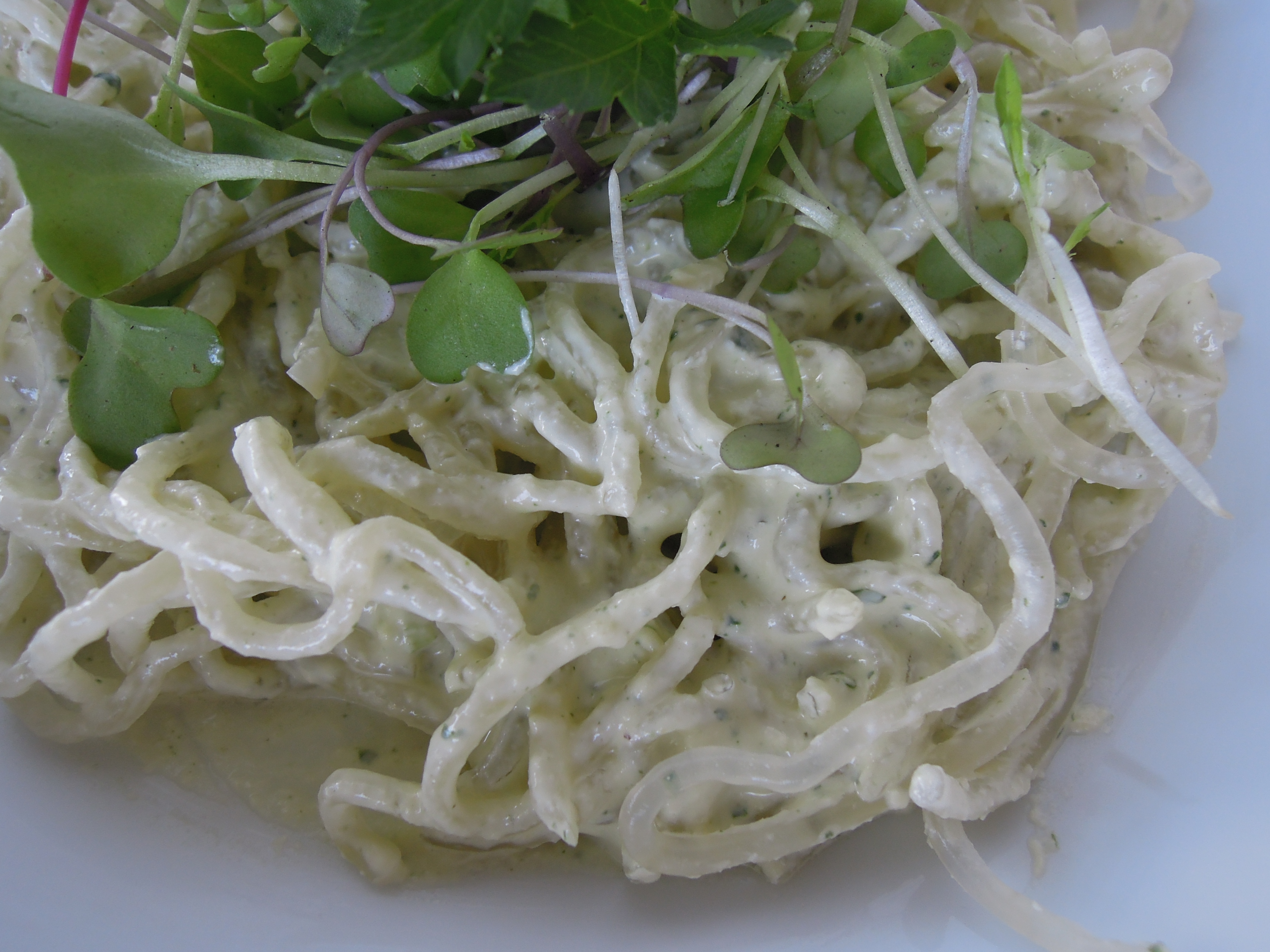 Raw Cheezy Noodles - Fork & Beans
